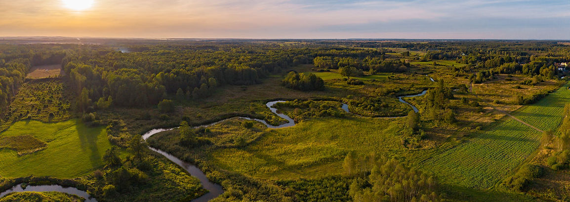 Pilica wśród zieleni